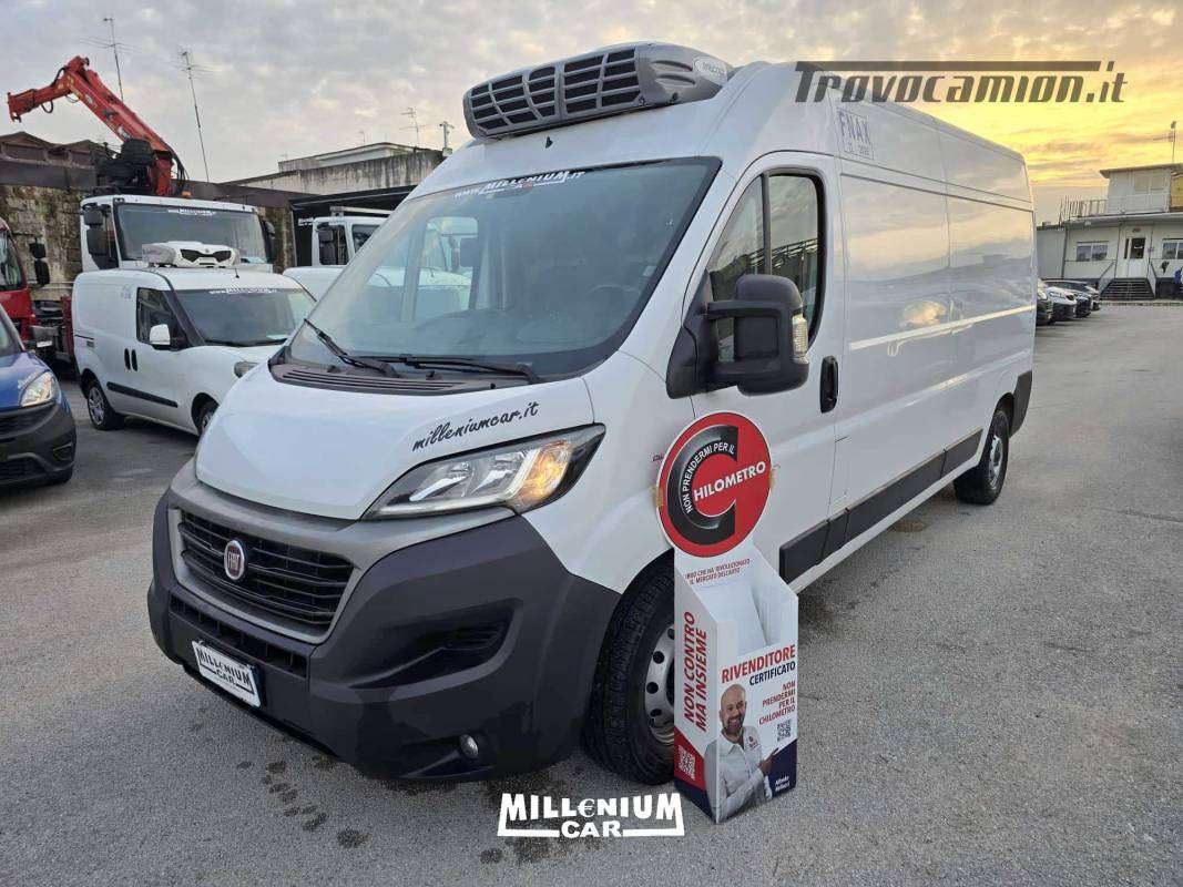 DUCATO 12/2020 L3H2 FRIGORIFERO ATP  Machineryscanner